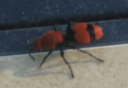 img_1375.png